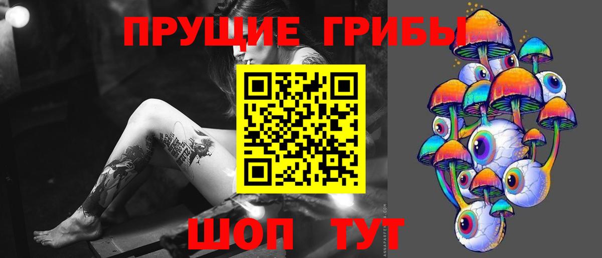 Усть-Илимск  Галлюциногенные грибы GOLDEN TEACHER  Псилоцибиновые грибы прущие грибы  Вход с VPN 
